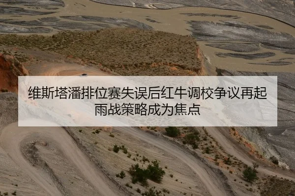 维斯塔潘排位赛失误后红牛调校争议再起 雨战策略成为焦点