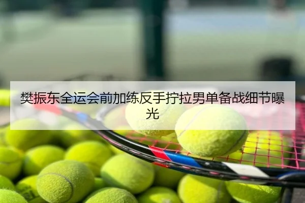 樊振东全运会前加练反手拧拉男单备战细节曝光